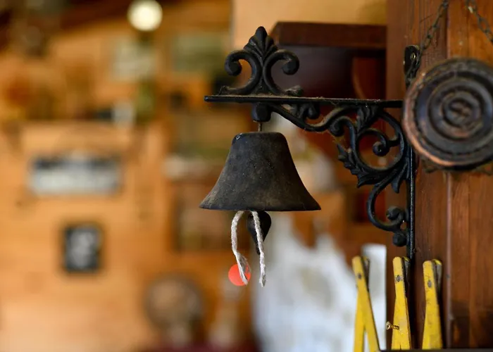 Chamurkov * ヴェリコ・タルノヴォ