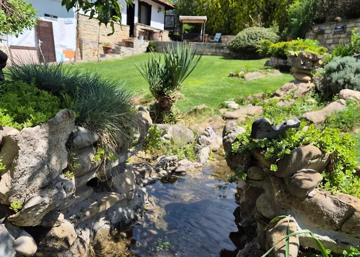 Chamurkov * Veliko Tarnovo